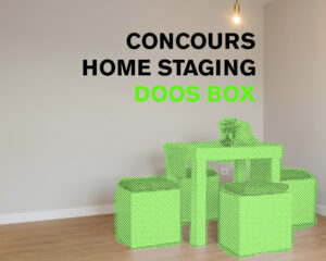 Concours International de Home Staging Doos Box